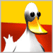 shataducks.png